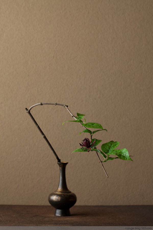 古筝独奏《半壶纱》十里桃花待嫁的年华凤冠的珍珠挽进头发