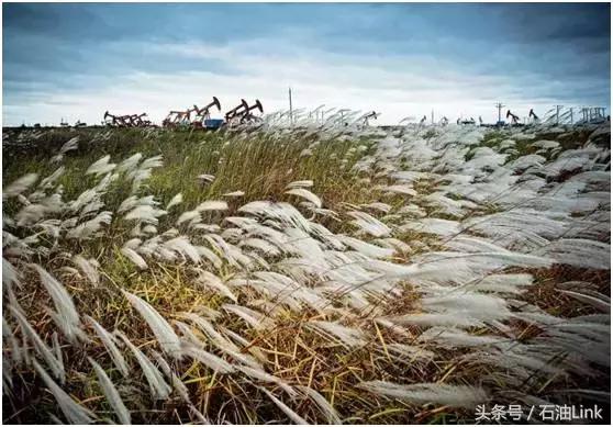 中国石油第一城,坐拥35亿吨石油