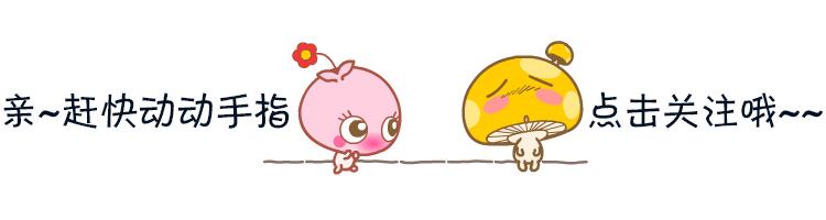 自媒体私人运营网站有哪些,自媒体怎么运营一个网站