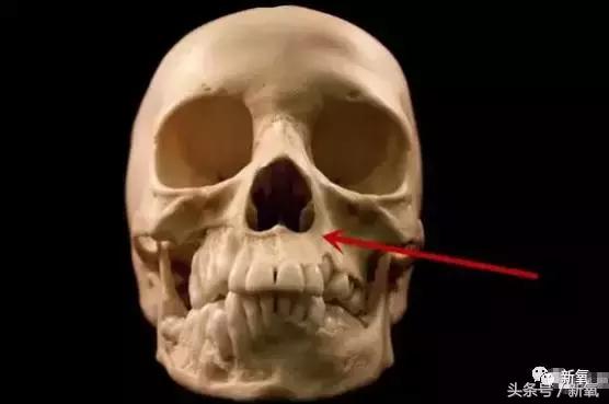 香港首富甘比是谁,香港现任女首富甘比的情商有多高