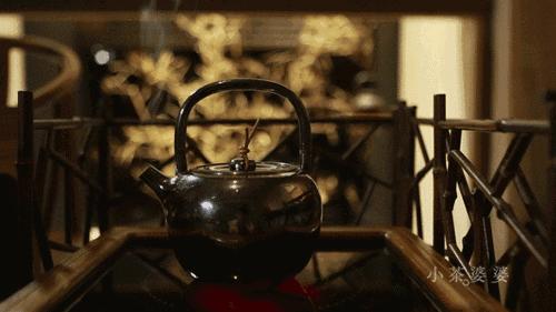 什么茶叶合适蒸汽壶煮着喝,茶叶煮着喝好还是泡着喝好