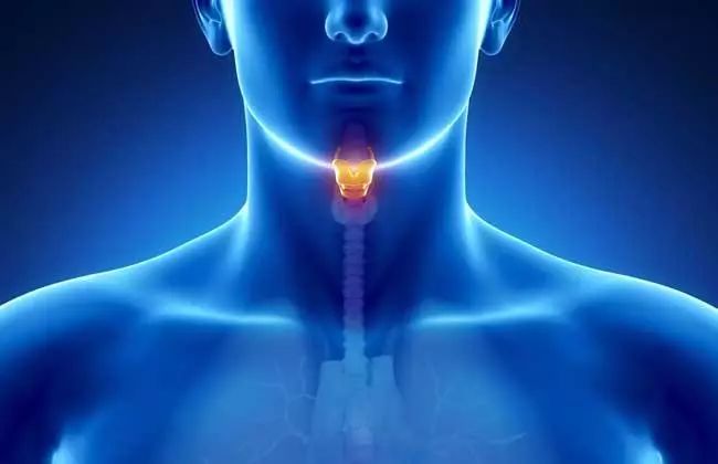 能够治咽喉炎的茶饮,咽喉炎十大特效药代茶饮