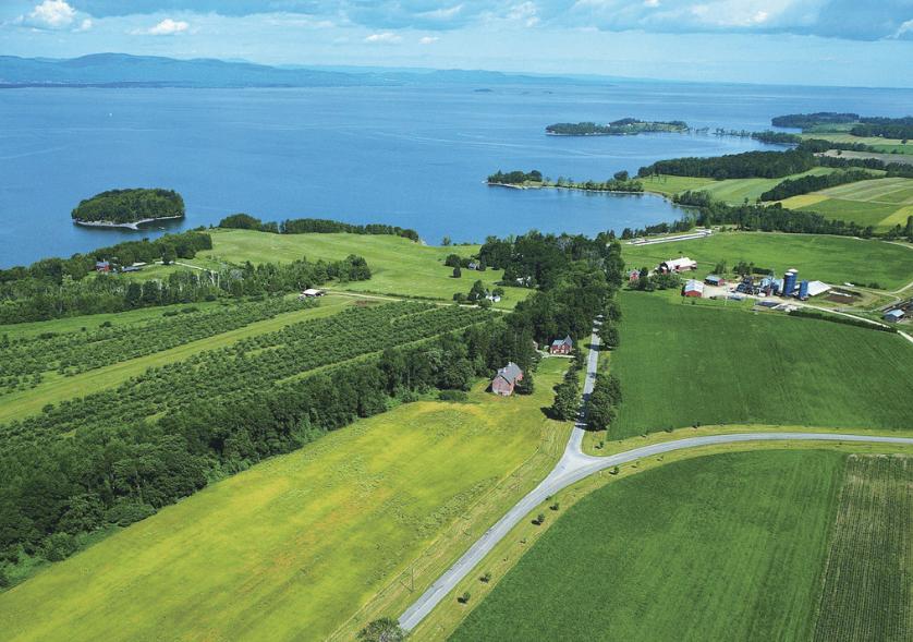 岛国国家耕地很少，却在农业上名列前茅，看日本农业的10大亮点！