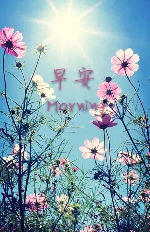 周一早上好最漂亮的早安问候语,早上好祝福问候语大全简短一点