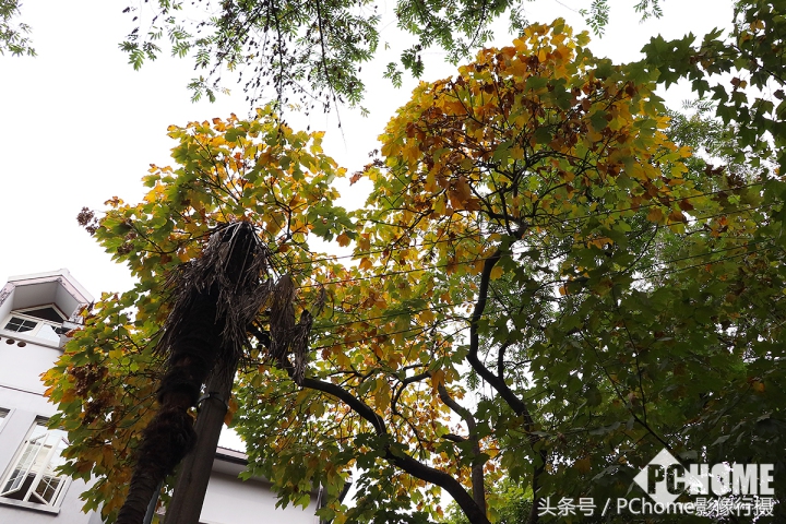 值得入手的数码相机平价佳能,佳能相机测评今年