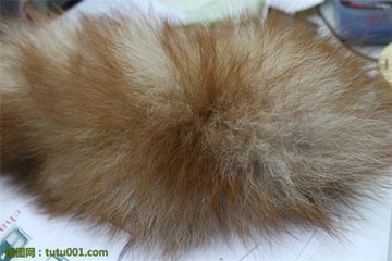 你衣服上的毛领是真的么，买的值不值？教你识别毛领的真假贵贱！