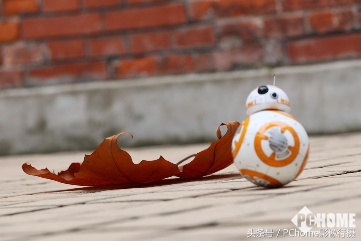 值得入手的数码相机平价佳能,佳能相机测评今年