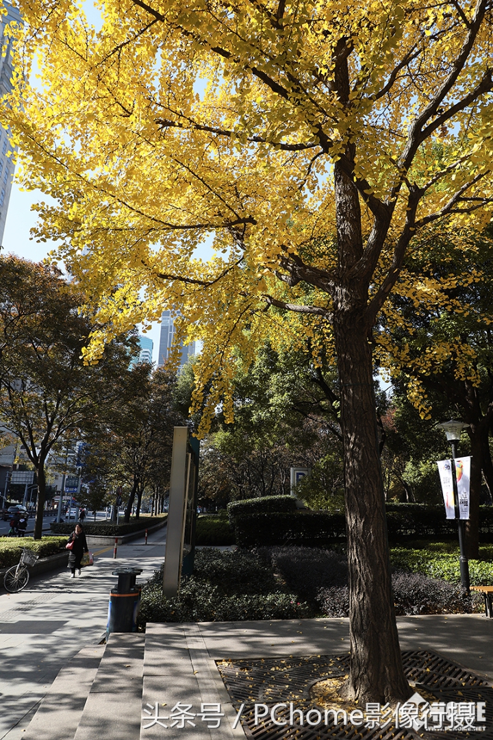 值得入手的数码相机平价佳能,佳能相机测评今年