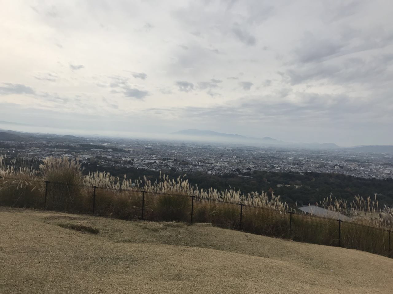 日本关西美食攻略,跟我游旅游攻略