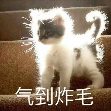 皮肤差到不好化妆,皮肤不好到用什么粉底液都不服帖