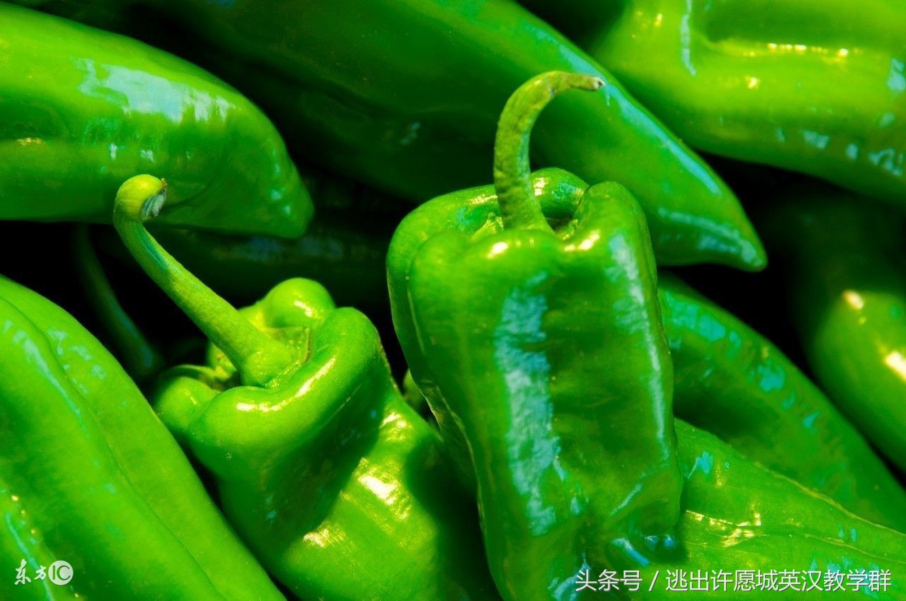 对不好对联，写不好排比句，学不好英语，快学词类知识