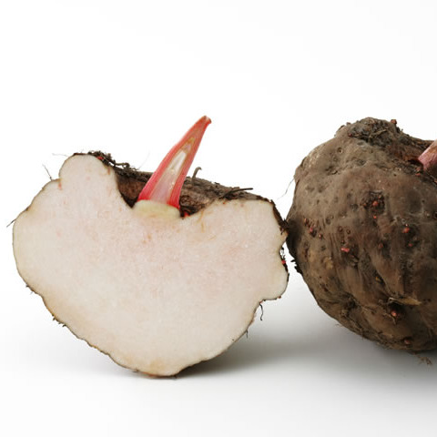 千年植物魔力魔芋为何如此神奇,什么叫魔芋魔芋是怎样的