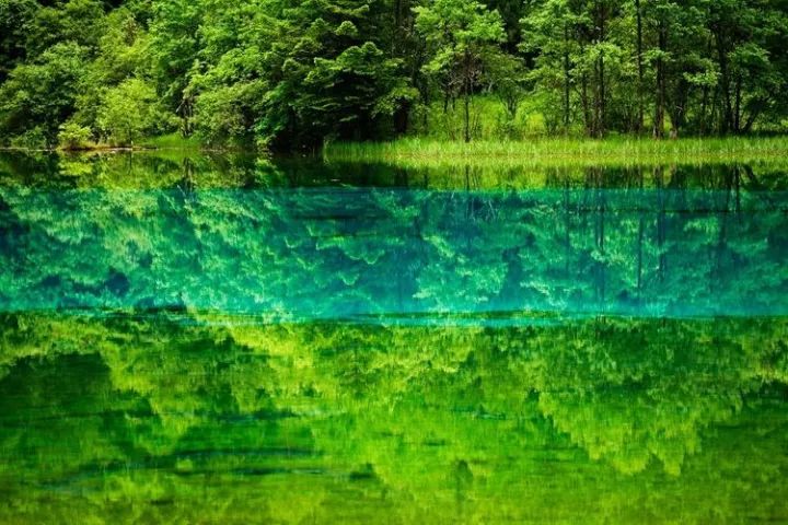 大三元第一个镜头应该入手哪一个,拥有大三元还有必要买镜头吗