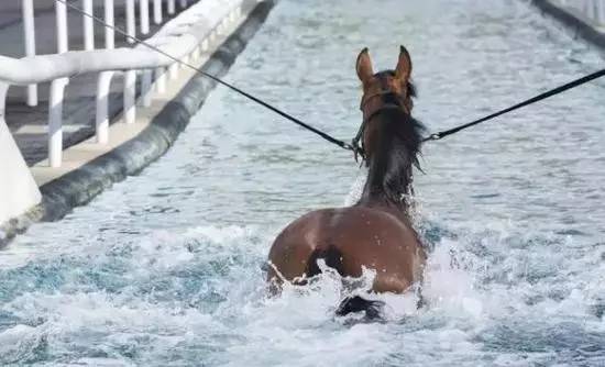 世界上最贵的比赛奖金,全世界最贵的一场速度比赛