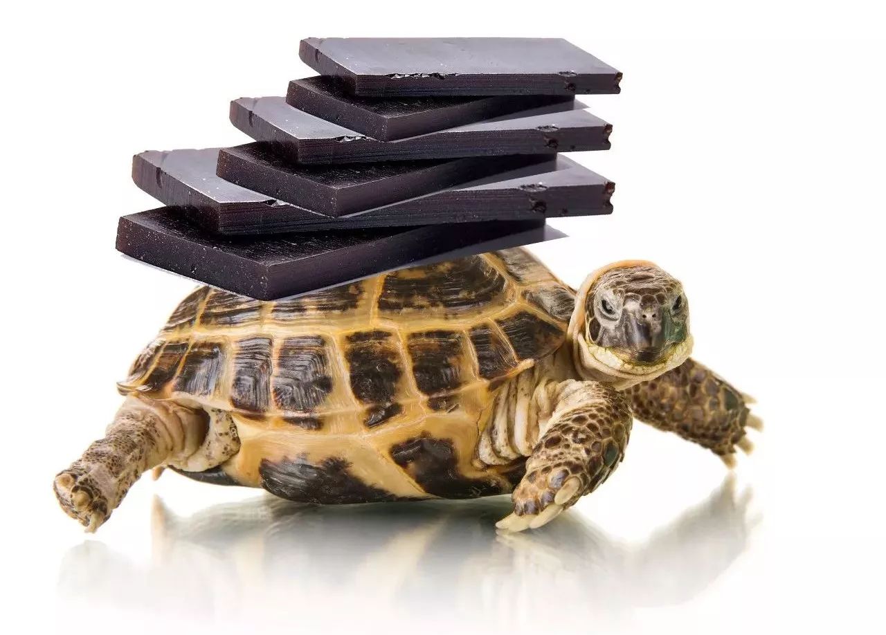 知识点如何查漏补缺,火补生胶怎样鉴别好坏