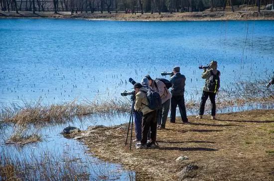 摄影圈里的黑话有哪些,摄影圈你知道哪些黑话