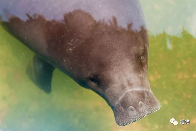 动物园哪家强,动物园排行榜