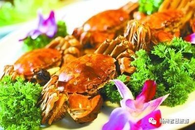扬州螃蟹,江苏吃螃蟹最出名的地方有哪两个