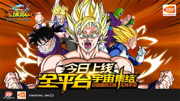 天马流星拳和龟派气功,天马流星拳全集视频