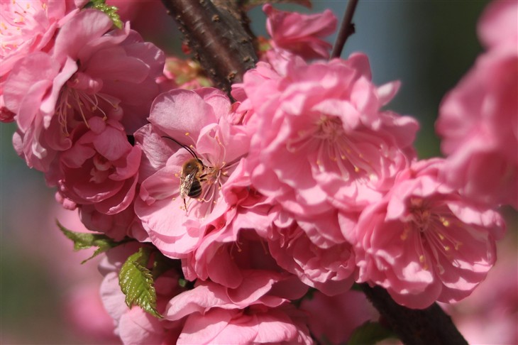 佳能eos80d拍照怎么样,七年前的佳能eos80d相机值得入手