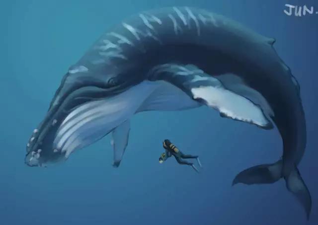 关于运钞车的段子,运钞车安全知识