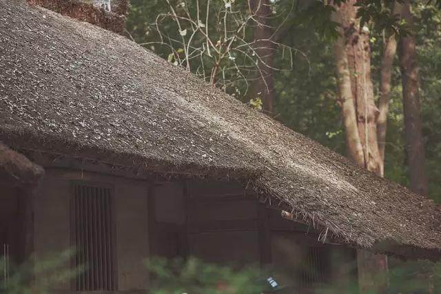 他在这里盖房子时，日本人还没学会唐风