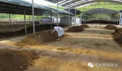 合适农村创业的小本点子,12个合适农村创业的小本项目