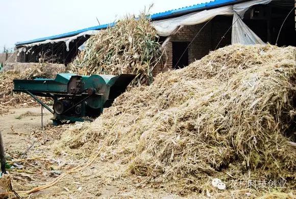 合适农村创业的小本点子,12个合适农村创业的小本项目