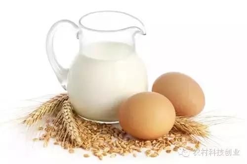 合适农村创业的小本点子,12个合适农村创业的小本项目