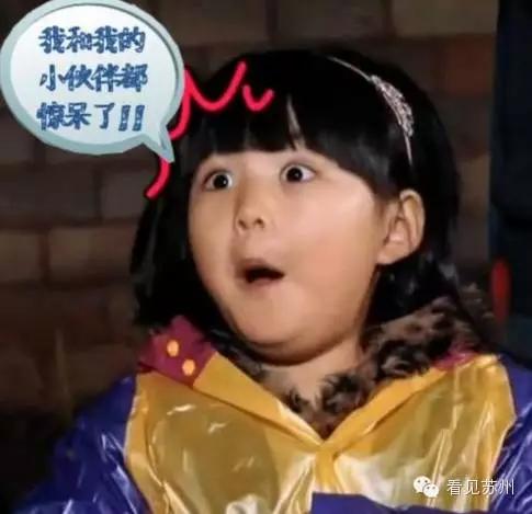 揭秘海淘背后的风险,海淘十大骗局揭秘