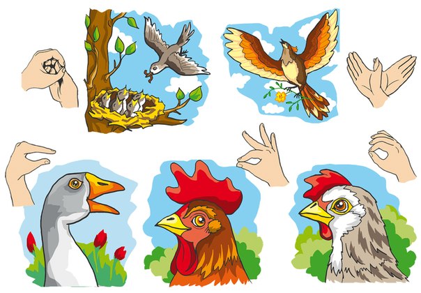 各个国家手指操,全套手指操