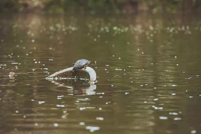 他在这里盖房子时，日本人还没学会唐风
