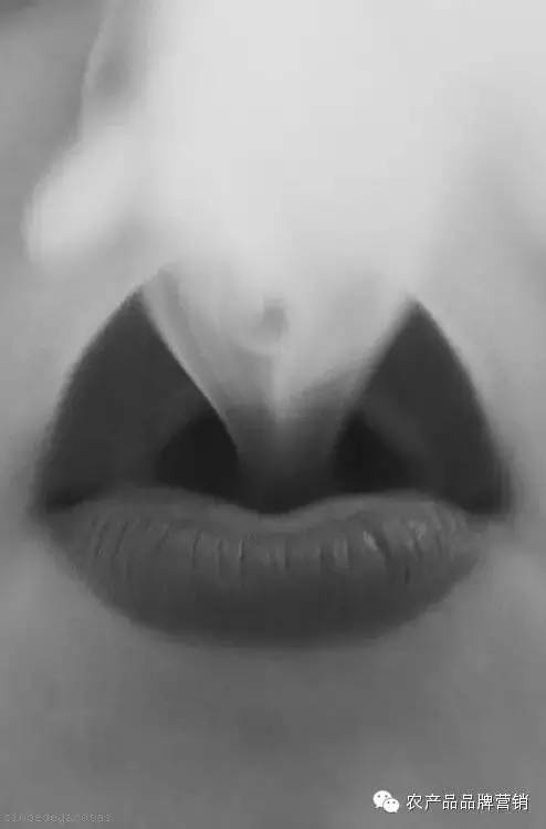 开一家菜店有什么风险,8个月开26家分店