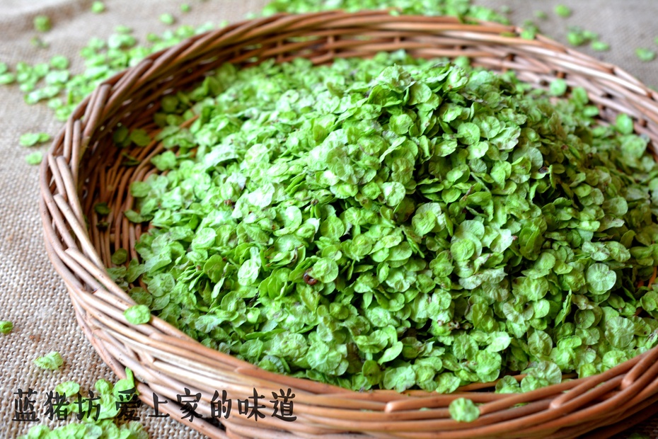 春天吃的野菜大全配图片和名字,春天的野菜有哪些能做菜吃