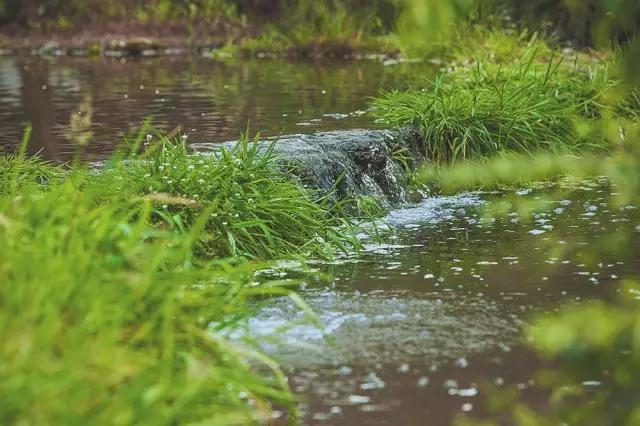 他在这里盖房子时，日本人还没学会唐风