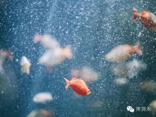 爱慕虚荣的女孩完全版韩剧,爱慕虚荣的女孩全集