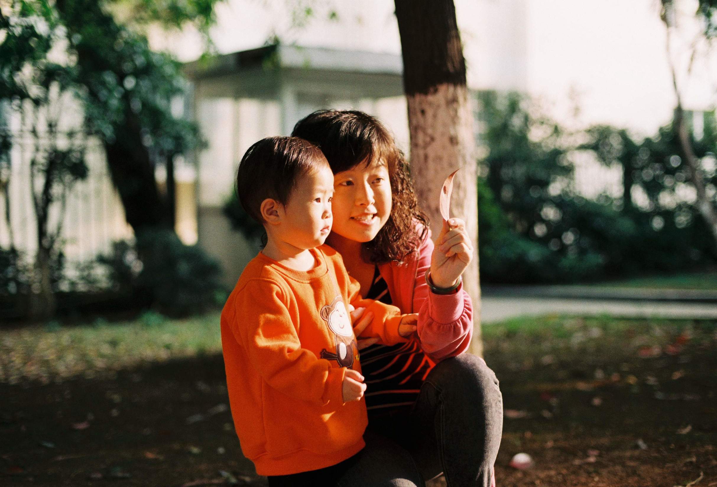 为什么不建议吃外国奶粉,中国宝宝适不合适喝外国奶粉