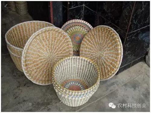 合适农村创业的小本点子,12个合适农村创业的小本项目