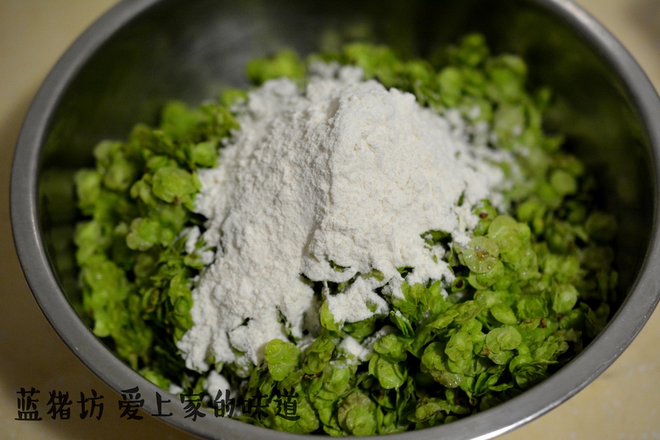 春天吃的野菜大全配图片和名字,春天的野菜有哪些能做菜吃