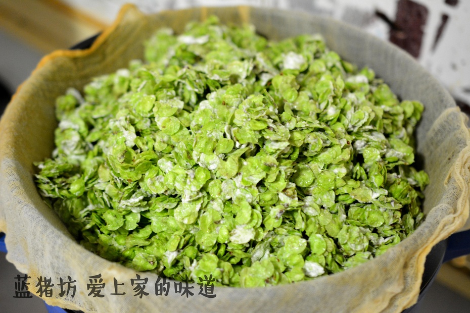 春天吃的野菜大全配图片和名字,春天的野菜有哪些能做菜吃