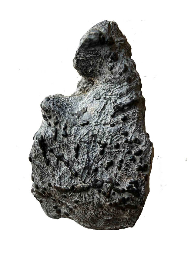 灵璧奇石珍珠,周寨灵璧珍珠石