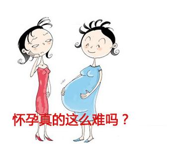 随心所欲做自己想做的事太容易了,随心所欲想怎么做就怎么做