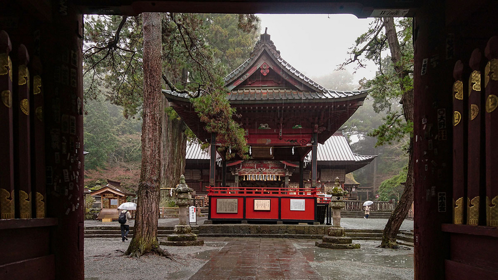 #与索尼为5#赏樱之旅之三：暴雨中方见机身防水之本色！