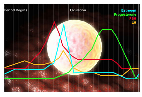 盆腔疼痛怎么引起的,盆腔疼痛是什么原因引起的