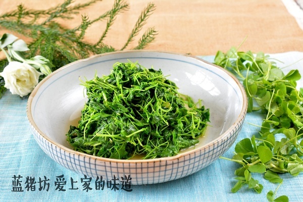 春天吃的野菜大全配图片和名字,春天的野菜有哪些能做菜吃