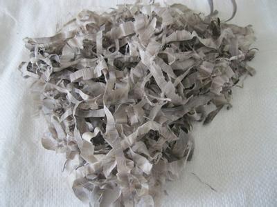 文玩界的*果禁**！这玩意实在太值钱，45名持枪士兵昼夜守卫！