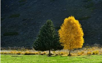 狂言NBA-阿King进入怪物模式天佑好运挡都挡不住