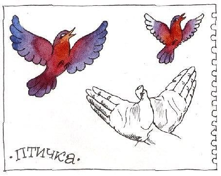 各个国家手指操,全套手指操