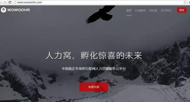 hr招聘完全视频,hr招聘数据